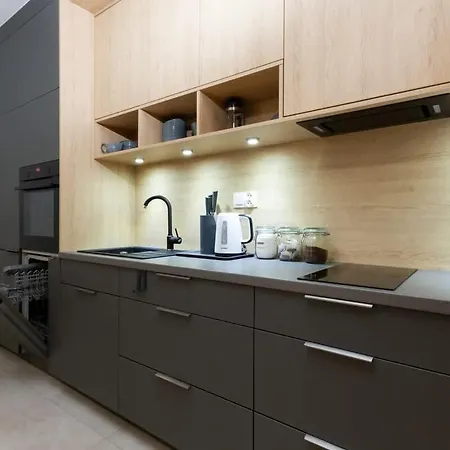 公寓 Luxury Front Park Sadowa With Terrace By Renters 格但斯克